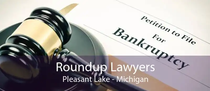 Roundup Lawyers Pleasant Lake - Michigan