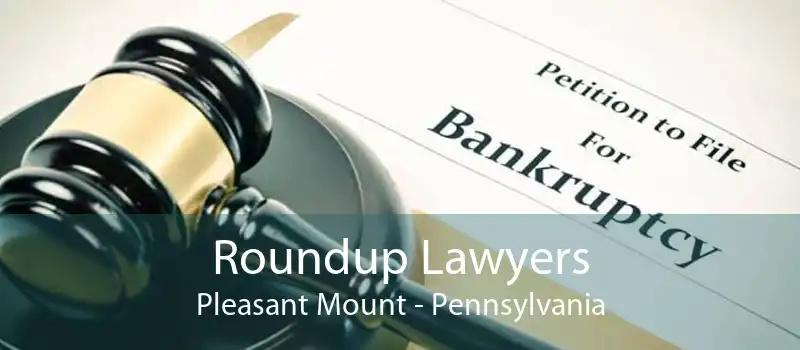 Roundup Lawyers Pleasant Mount - Pennsylvania