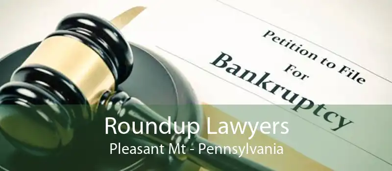 Roundup Lawyers Pleasant Mt - Pennsylvania