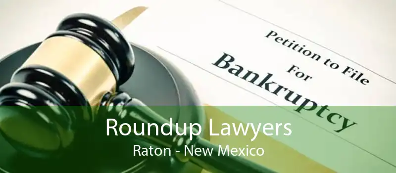 Roundup Lawyers Raton - New Mexico