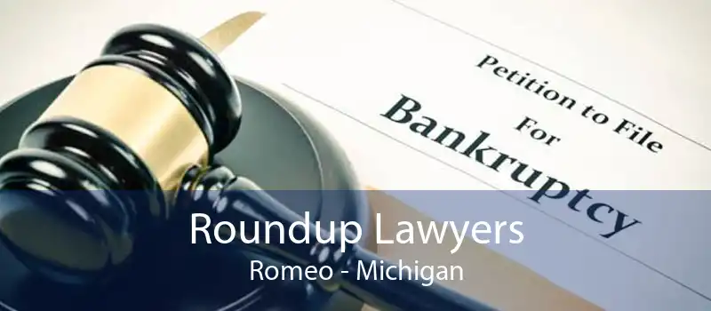 Roundup Lawyers Romeo - Michigan