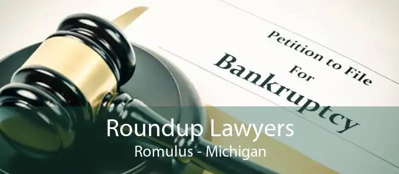 Roundup Lawyers Romulus - Michigan