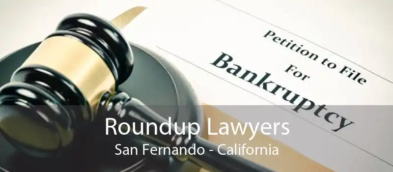 Roundup Lawyers San Fernando - California