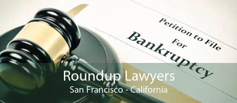 Roundup Lawyers San Francisco - California