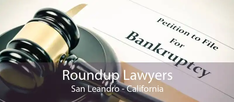 Roundup Lawyers San Leandro - California