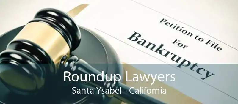 Roundup Lawyers Santa Ysabel - California