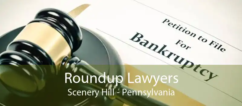 Roundup Lawyers Scenery Hill - Pennsylvania