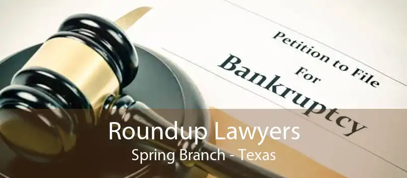 Roundup Lawyers Spring Branch - Texas