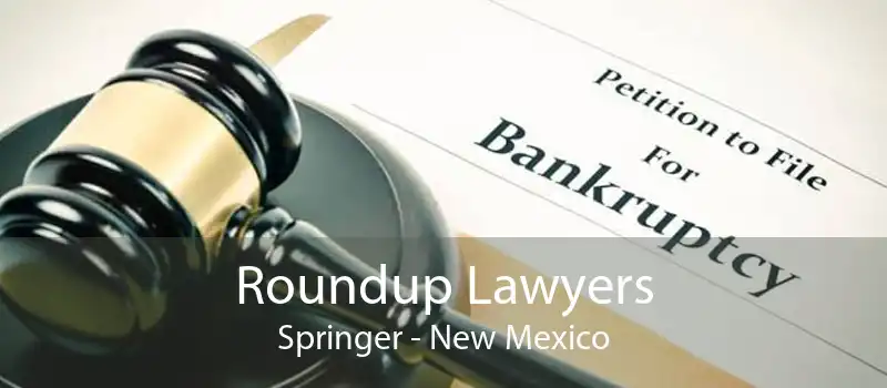 Roundup Lawyers Springer - New Mexico