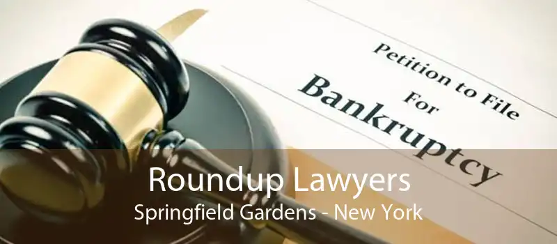 Roundup Lawyers Springfield Gardens - New York