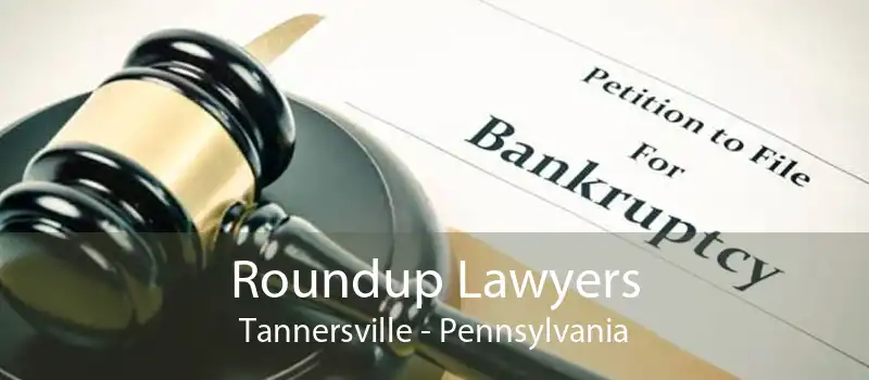 Roundup Lawyers Tannersville - Pennsylvania