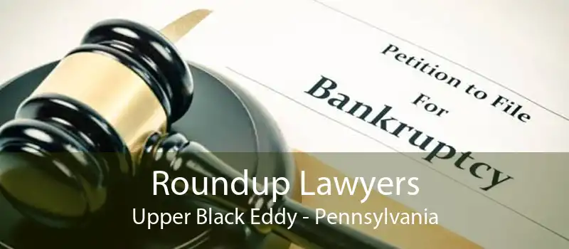 Roundup Lawyers Upper Black Eddy - Pennsylvania