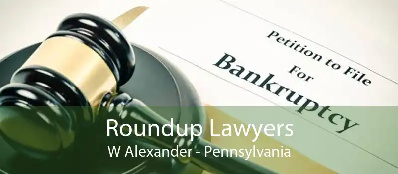 Roundup Lawyers W Alexander - Pennsylvania