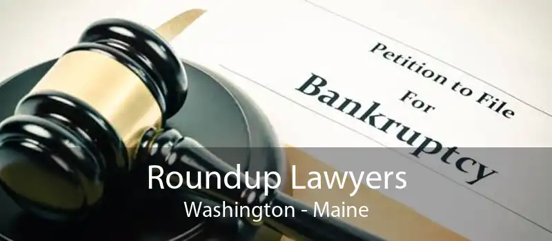 Roundup Lawyers Washington - Maine