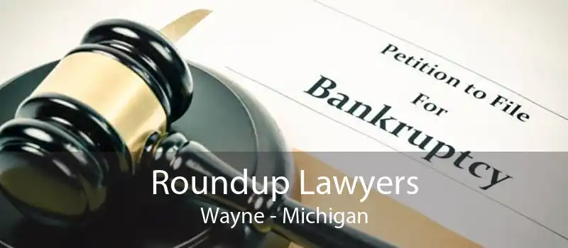 Roundup Lawyers Wayne - Michigan