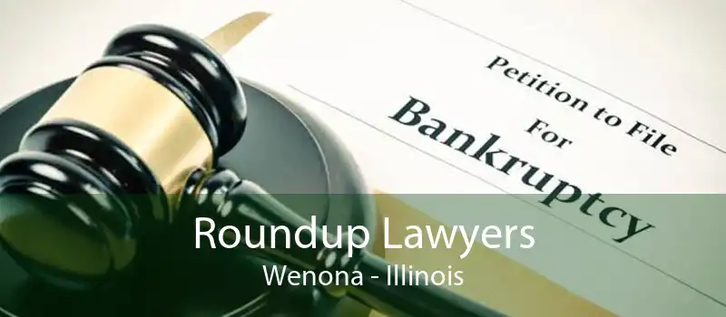 Roundup Lawyers Wenona - Illinois