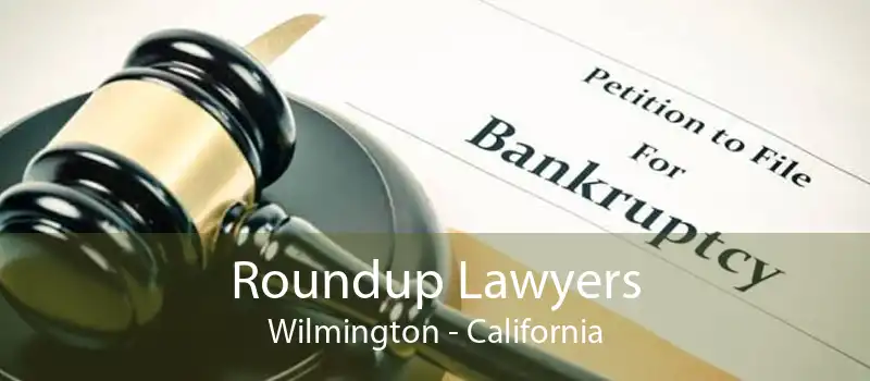 Roundup Lawyers Wilmington - California