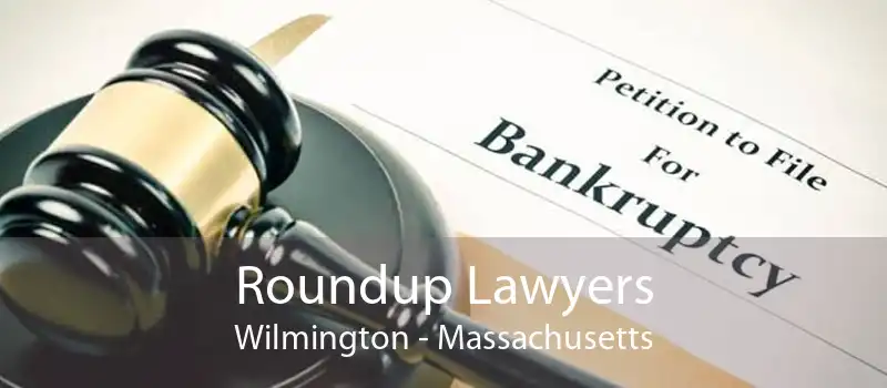 Roundup Lawyers Wilmington - Massachusetts