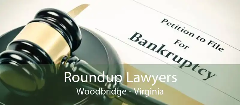 Roundup Lawyers Woodbridge - Virginia