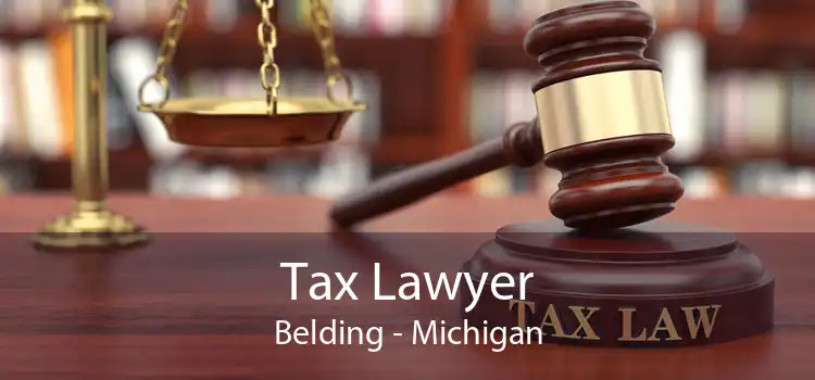 Tax Lawyer Belding - Michigan