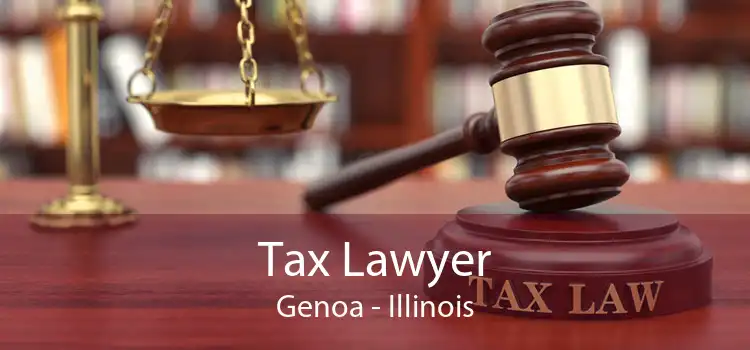 Tax Lawyer Genoa - Illinois