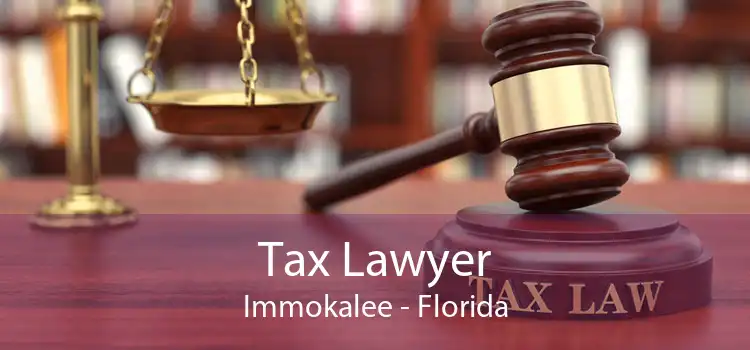 Tax Lawyer Immokalee - Florida