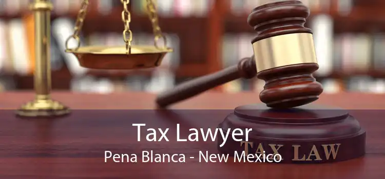Tax Lawyer Pena Blanca - New Mexico