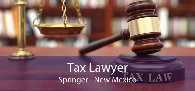 Tax Lawyer Springer - New Mexico