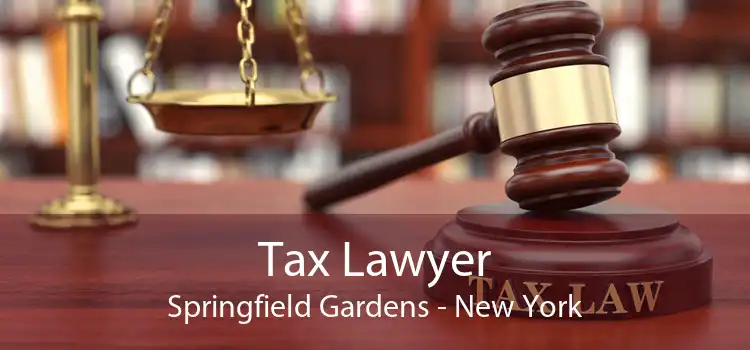 Tax Lawyer Springfield Gardens - New York