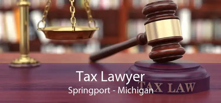 Tax Lawyer Springport - Michigan