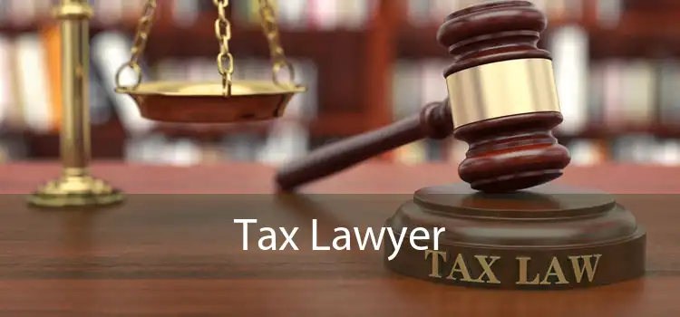 Tax Lawyer 